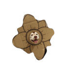 Copper Mini Husky（個別スタンプ：1）
