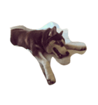 Copper Mini Husky（個別スタンプ：4）