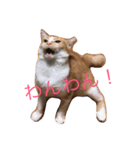ひとことスタンプにゃ（個別スタンプ：2）