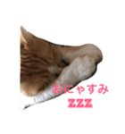 ひとことスタンプにゃ（個別スタンプ：3）