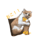 ひとことスタンプにゃ（個別スタンプ：8）