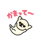 蒲田犬 ハク（個別スタンプ：2）