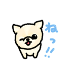 蒲田犬 ハク（個別スタンプ：5）