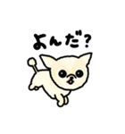 蒲田犬 ハク（個別スタンプ：8）