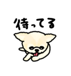 蒲田犬 ハク（個別スタンプ：12）