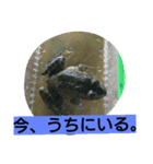 けろけろきよこ（個別スタンプ：7）