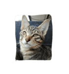cool cats 2（個別スタンプ：3）