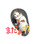 Meru1（個別スタンプ：6）