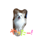 Meru1（個別スタンプ：7）