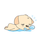 BOBO CUTE BROWN DOG（個別スタンプ：25）