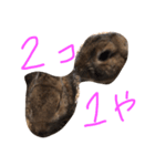 癒しウサギ（個別スタンプ：7）