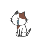ただのねこここ（個別スタンプ：5）