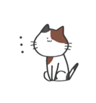 ただのねこここ（個別スタンプ：8）