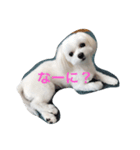 chil95（個別スタンプ：1）