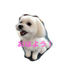 chil95（個別スタンプ：3）