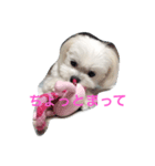 chil95（個別スタンプ：4）