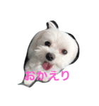 chil95（個別スタンプ：6）