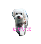 chil95（個別スタンプ：7）
