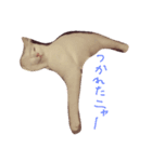 オキジオシロ（個別スタンプ：10）