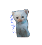 オキジオシロ（個別スタンプ：16）