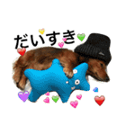 私の犬 1（個別スタンプ：4）