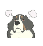 バーニーズのお返事（個別スタンプ：3）