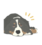 バーニーズのお返事（個別スタンプ：6）