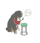 バーニーズのお返事（個別スタンプ：8）