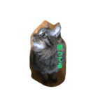 Cat's ugly（個別スタンプ：4）