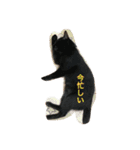 Cat's ugly（個別スタンプ：14）