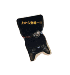 Cat's ugly（個別スタンプ：16）