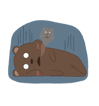 Bear friend Shiri ＆ Iri（個別スタンプ：39）