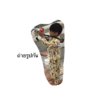 nongfifa（個別スタンプ：19）