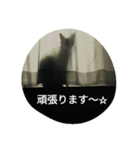 Think rich, look poor.（個別スタンプ：2）