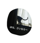 Think rich, look poor.（個別スタンプ：4）