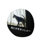 Think rich, look poor.（個別スタンプ：5）