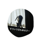 Think rich, look poor.（個別スタンプ：6）