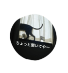 Think rich, look poor.（個別スタンプ：8）