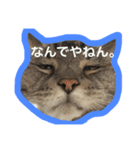 ともぐりちゃん（個別スタンプ：1）