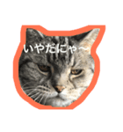 ともぐりちゃん（個別スタンプ：7）