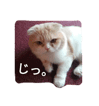 ぬけさくの日常 3（個別スタンプ：2）