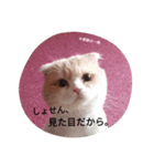 ぬけさくの日常 3（個別スタンプ：3）