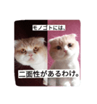 ぬけさくの日常 3（個別スタンプ：5）