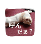 ぬけさくの日常 3（個別スタンプ：6）