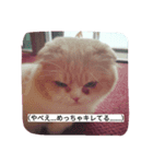ぬけさくの日常 3（個別スタンプ：7）