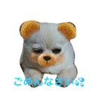 犬です⁉︎チワワのこつぶです！（個別スタンプ：4）