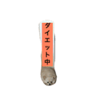 犬です⁉︎チワワのこつぶです！（個別スタンプ：17）
