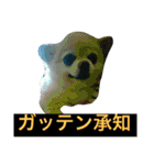 犬です⁉︎チワワのこつぶです！（個別スタンプ：37）