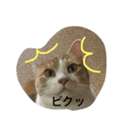 on716780（個別スタンプ：5）