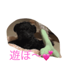 モナとヒメとチャメ（個別スタンプ：3）